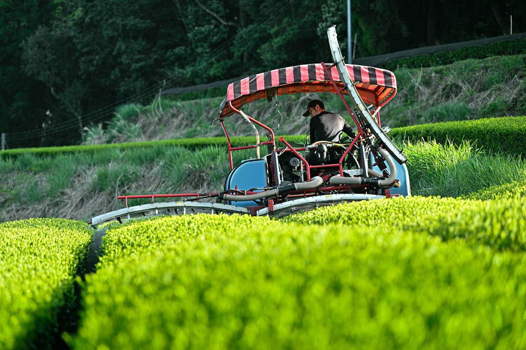 Matcha3